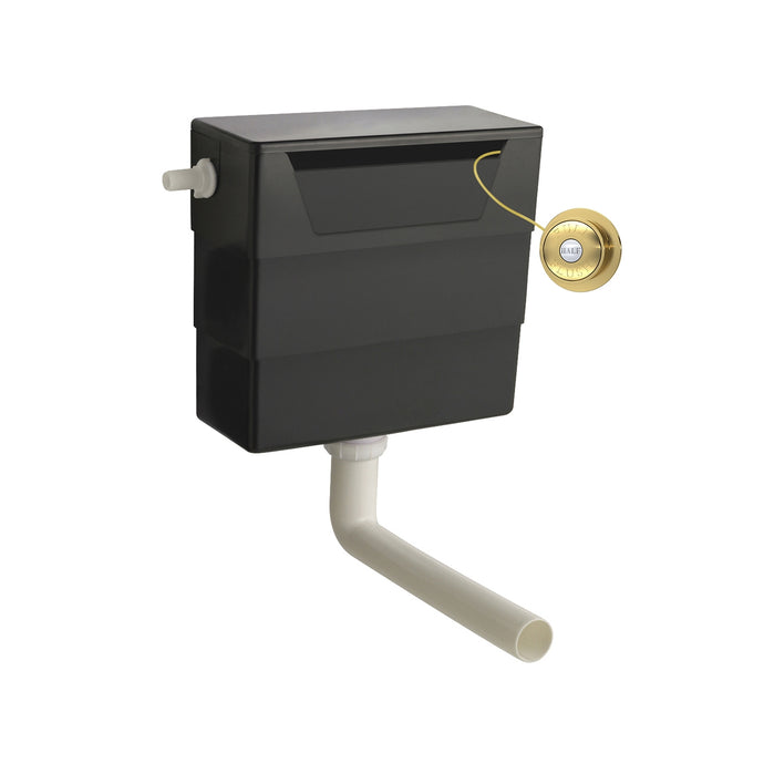 Hudson Reed Old London Universal Access Cistern and Traditional Flush Plate in Brass - Premium Taps