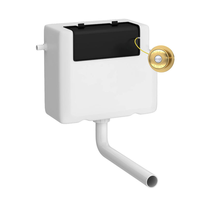 Load image into Gallery viewer, Hudson Reed Old London Universal Access Toilet Cistern and Flush Plate Side Inlet in Brushed Brass - Premium Taps
