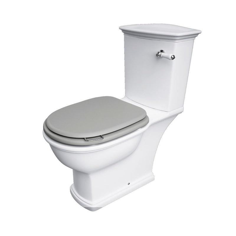 Load image into Gallery viewer, RAK Washington Replacement Soft Close Toilet Seat in Matt Grey - RAKWTNSEAT503 - Premium Taps
